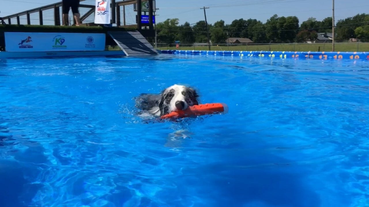 Broken Arrow Dog Dock Diving Competition Held At K9 Manners & More