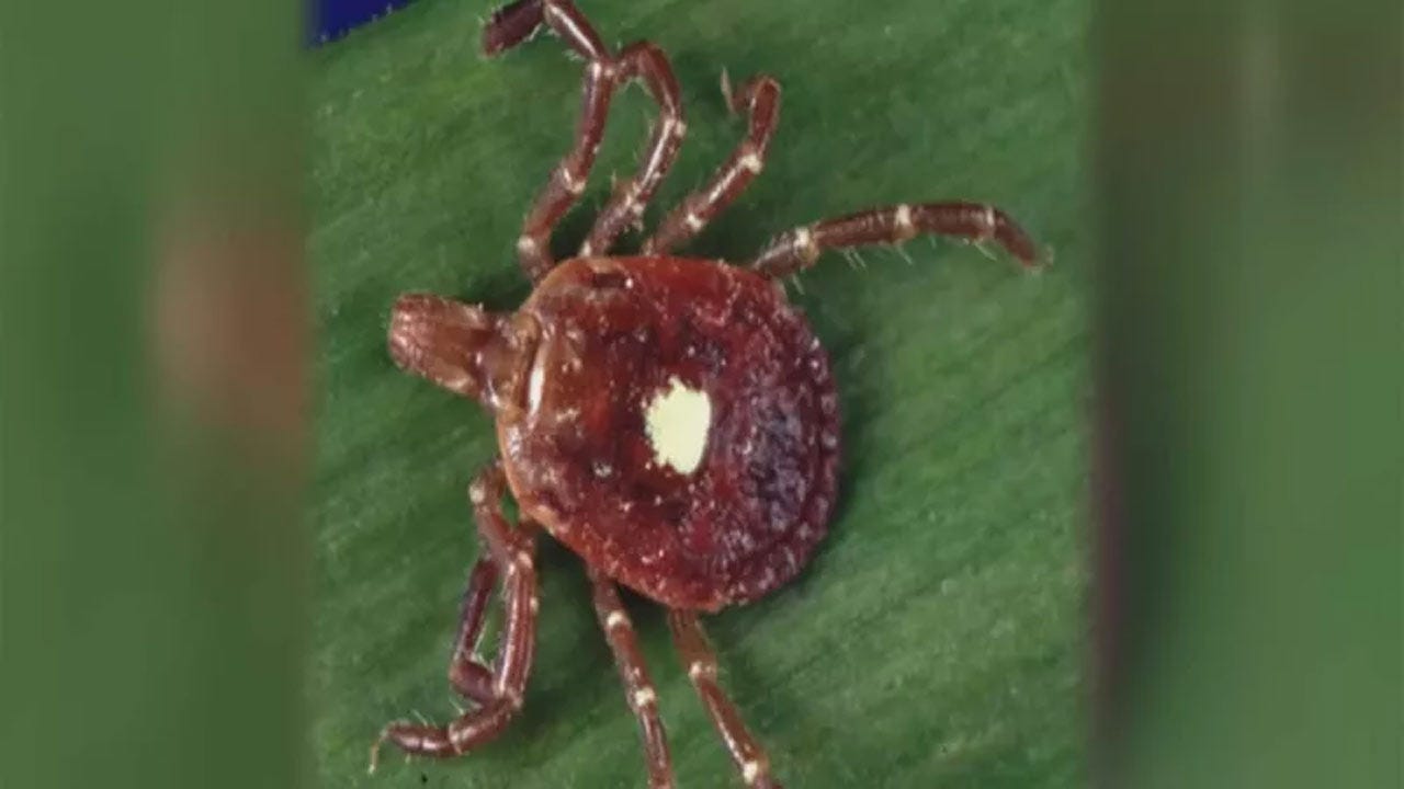 Oklahoma Woman Develops Meat Allergy After Tick Bite